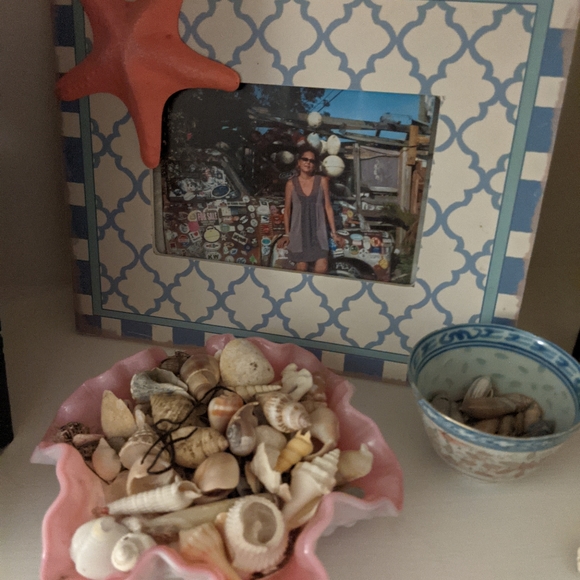 Meet your Posher, Tessie - Picture 5 of 16